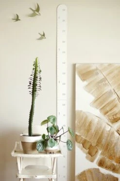 Abricotine Échelle De Croissance Blanche