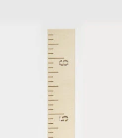 Abricotine Échelle De Croissance En Bois