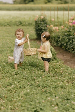 Petit Lem Romper Short Abeilles