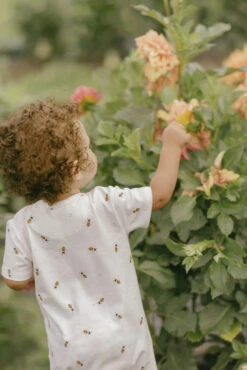 Petit Lem Romper Short Abeilles -Bébé Idées Cadeaux Soldes Boutique petit lem romper short abeilles 3