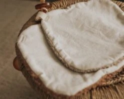 Sprouting Littles Doudou Teddy Pour Suce Cream